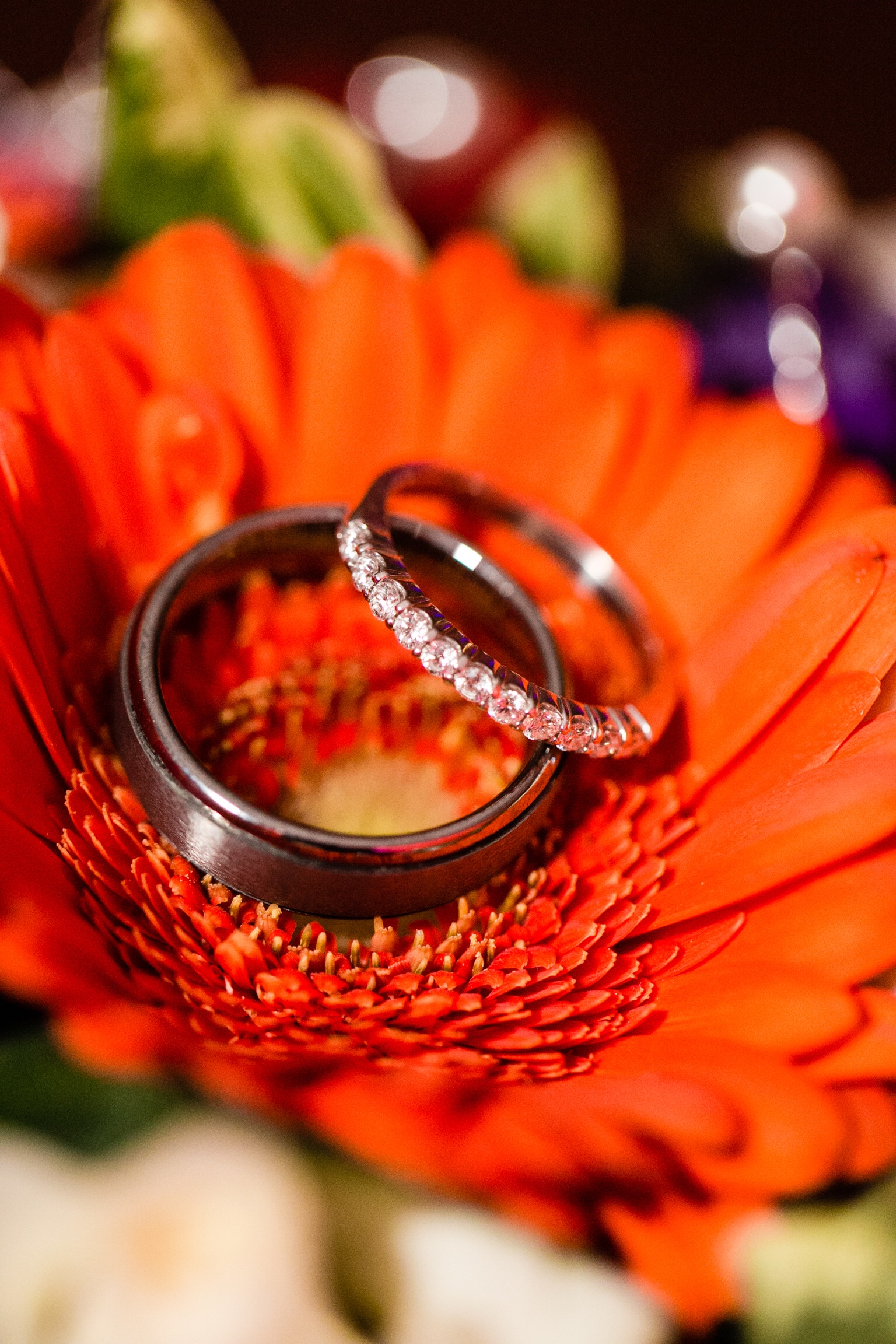 Wenning Entertainment | Wedding Photography | Pittsburgh Wedding Photography