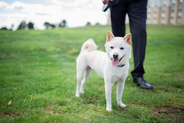 Pittsburgh Wedding Photography | Wenning Entertainment