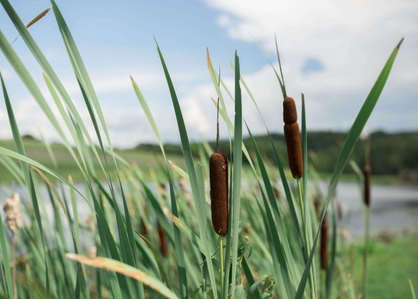 Pittsburgh Wedding Photography | Wenning Entertainment